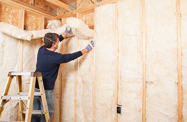 Best Garage Insulation in Jefferson, WI